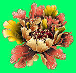 牡丹花