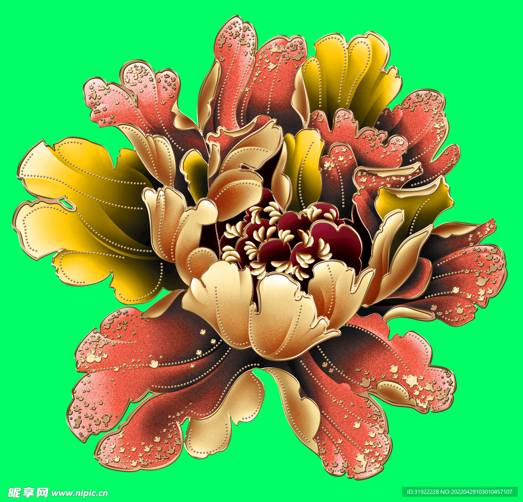 牡丹花