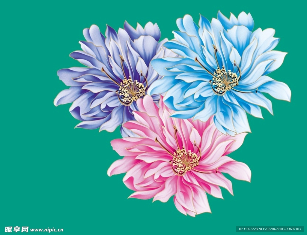 牡丹花