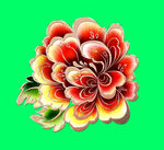 牡丹花