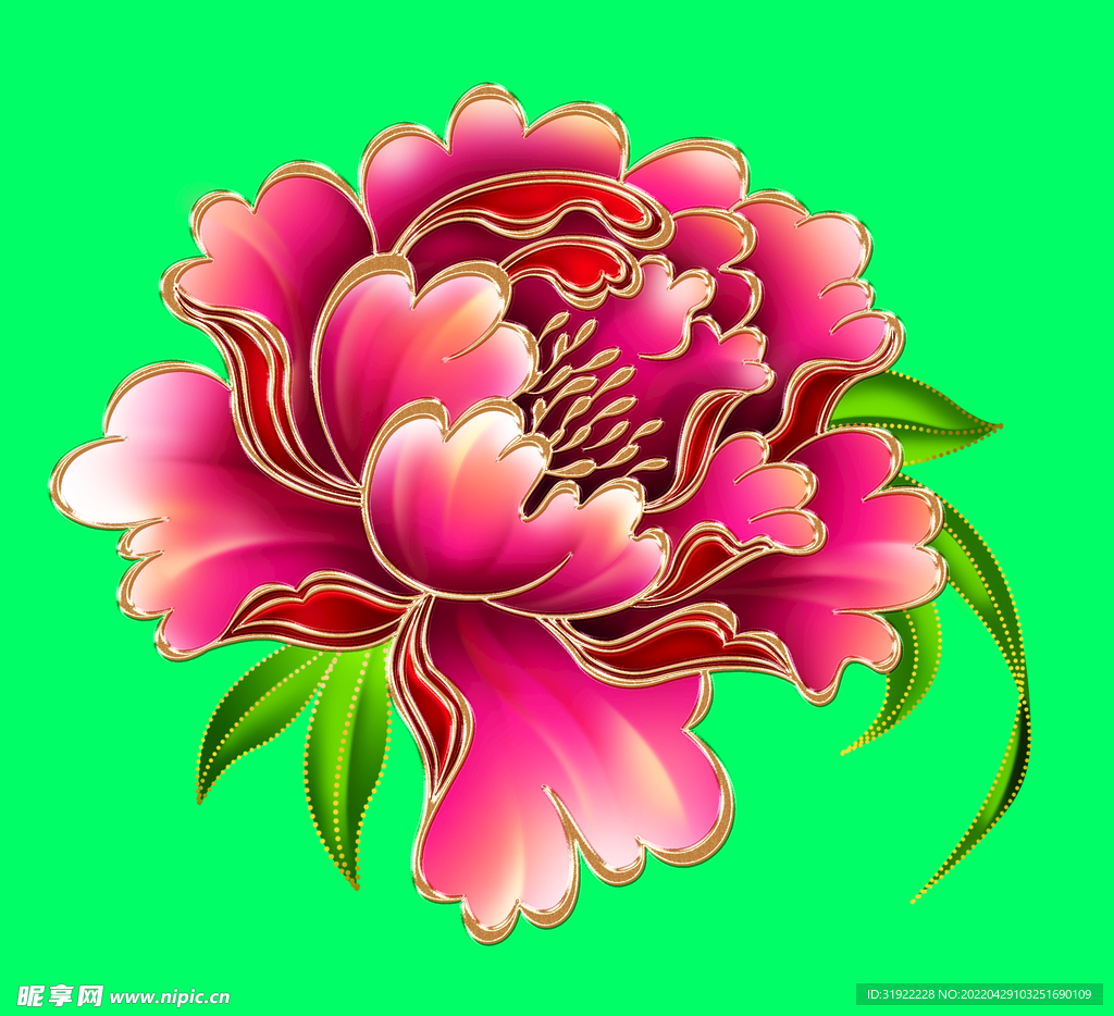 牡丹花