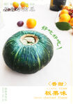 贝贝小南瓜