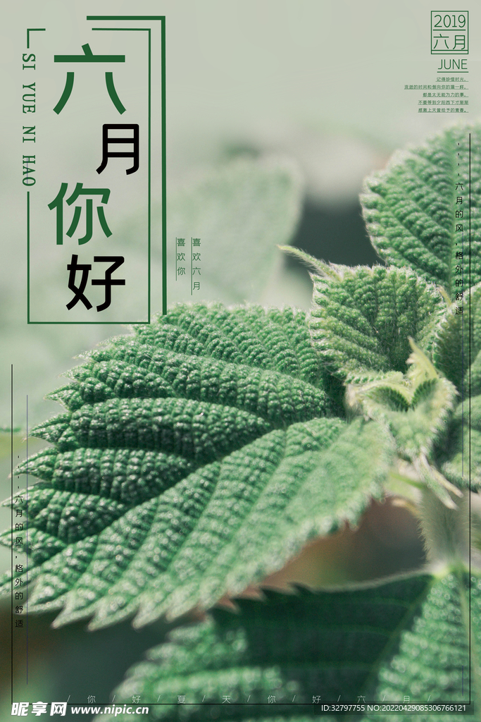 你好6月