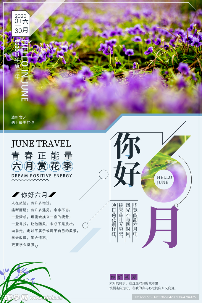 你好6月