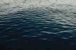 大海