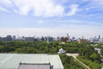 城市