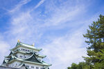 城市