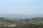 山