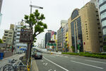 城市