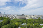 城市