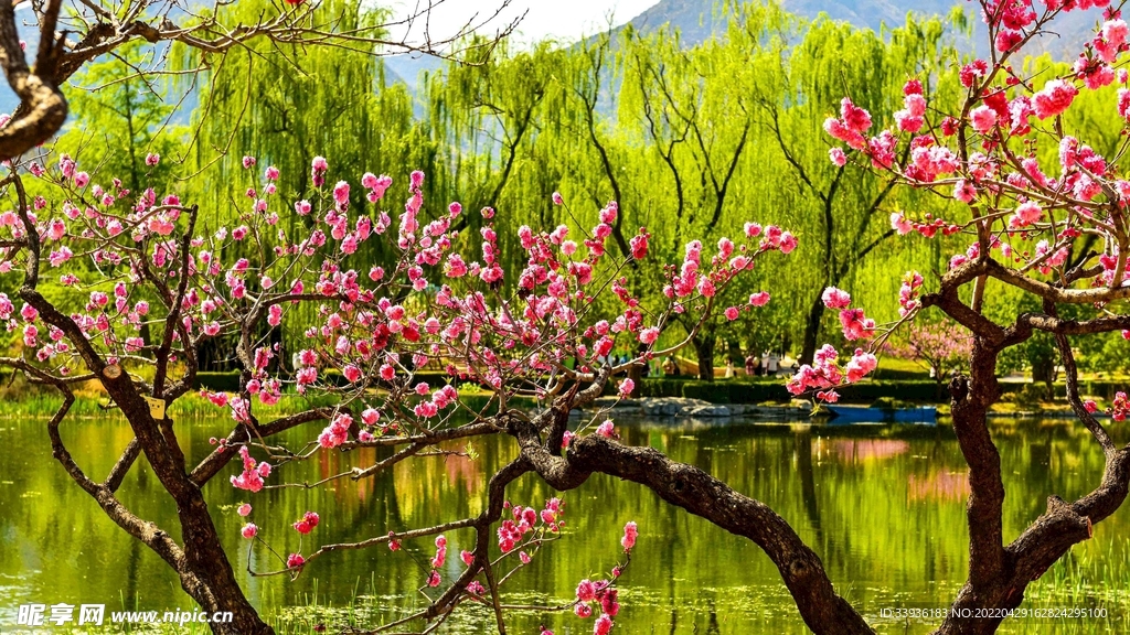 春天