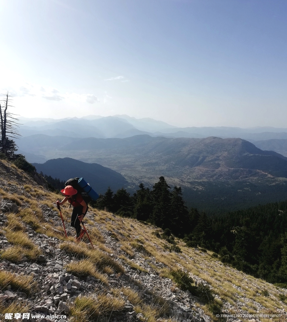 山