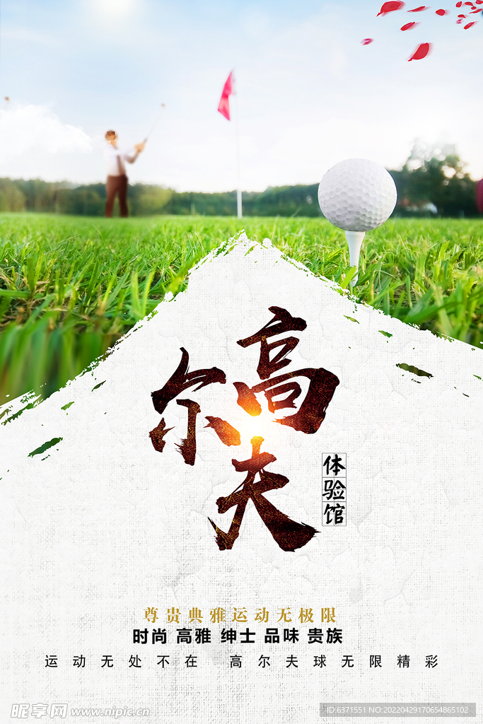 高尔夫