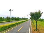 美丽的道路风景