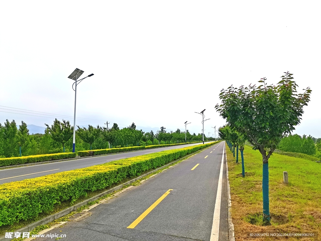 美丽的道路风景