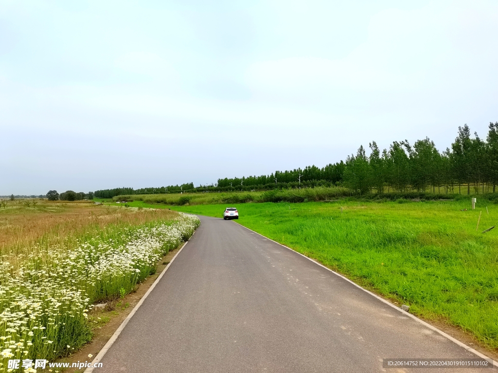 美丽的公园风景