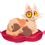 猫