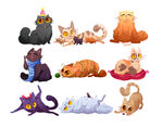 猫