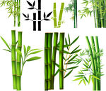竹子素材