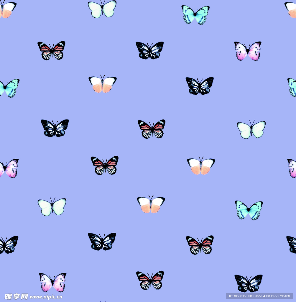 蝴蝶