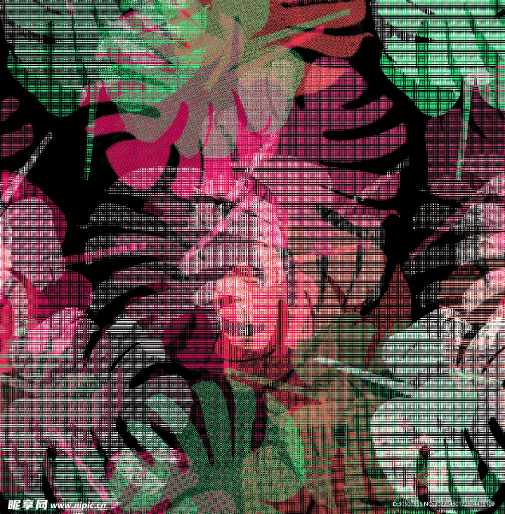 芭蕉叶