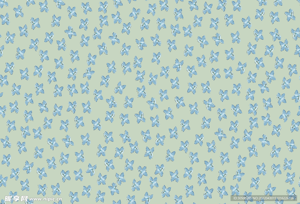 蝴蝶花