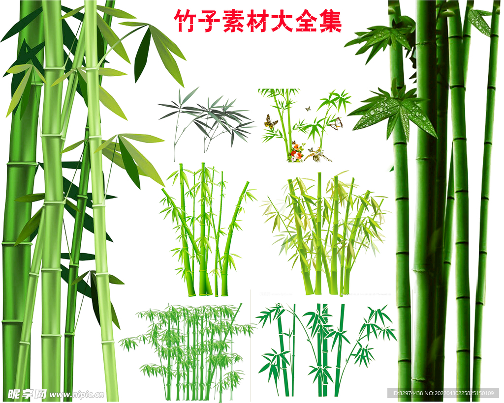 竹子