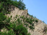 土山丘