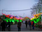 灯会