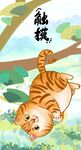 萌主猫            