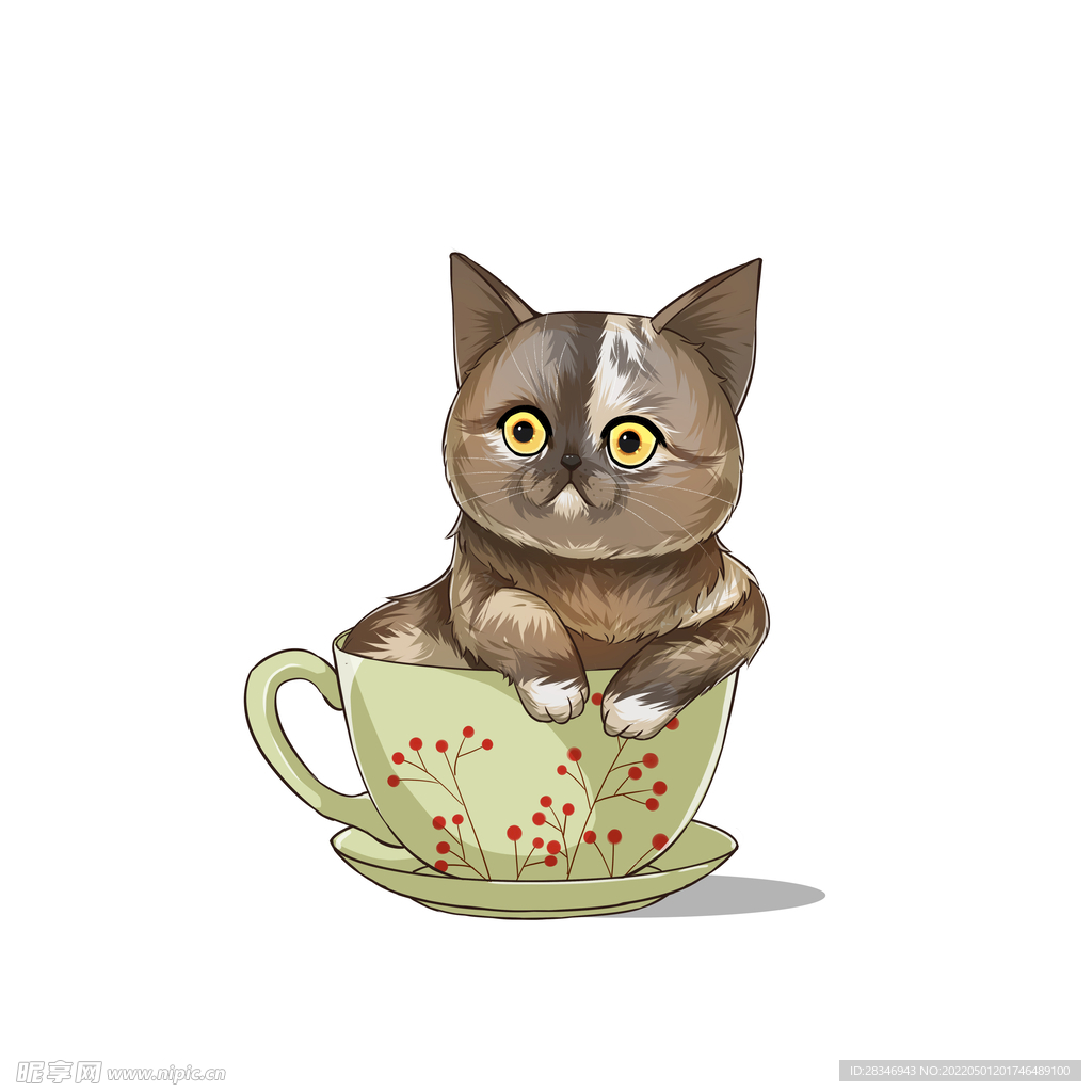 茶杯猫            
