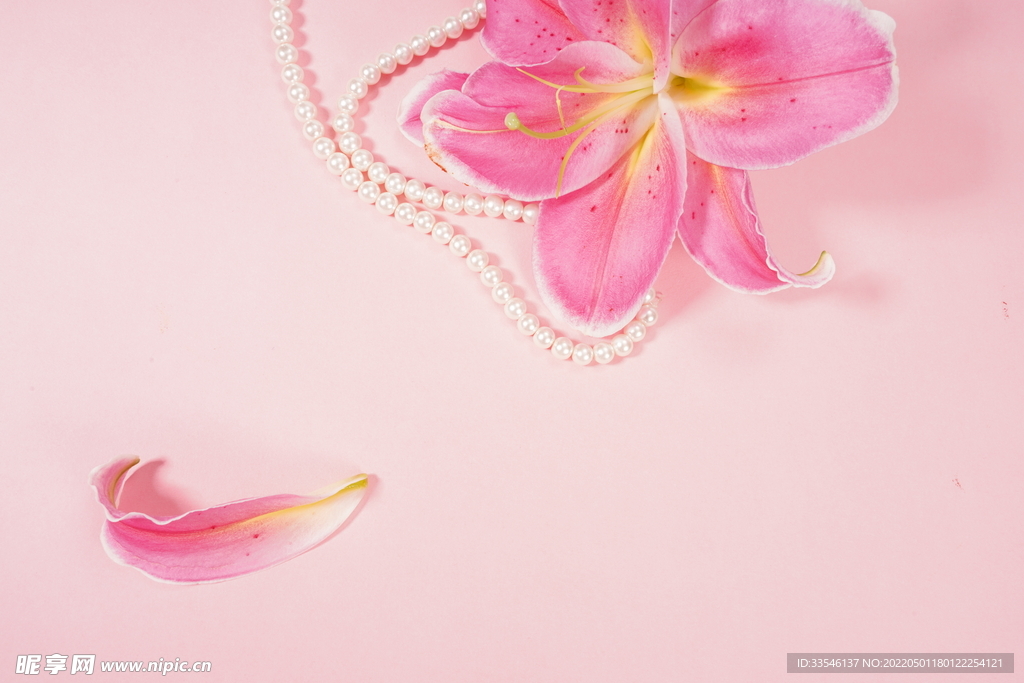 粉色百合珍珠背景