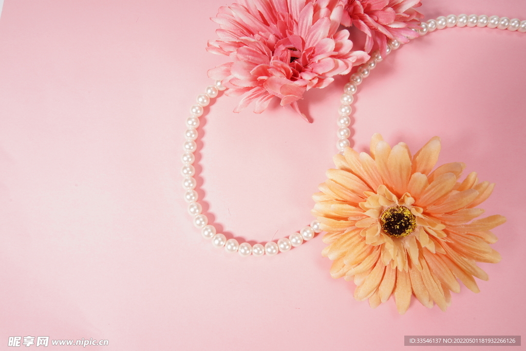 珍珠菊花粉色背景
