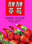 甜甜草莓
