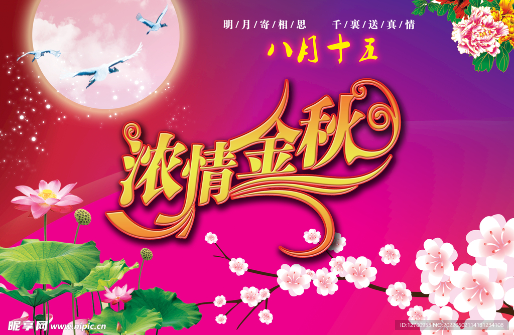 浓情中秋
