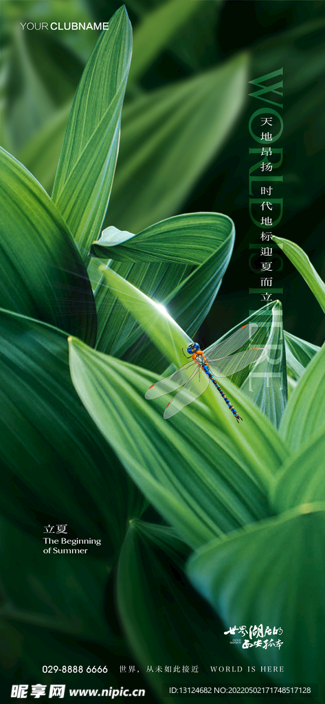 立夏