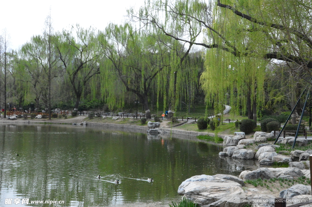 园林风景 