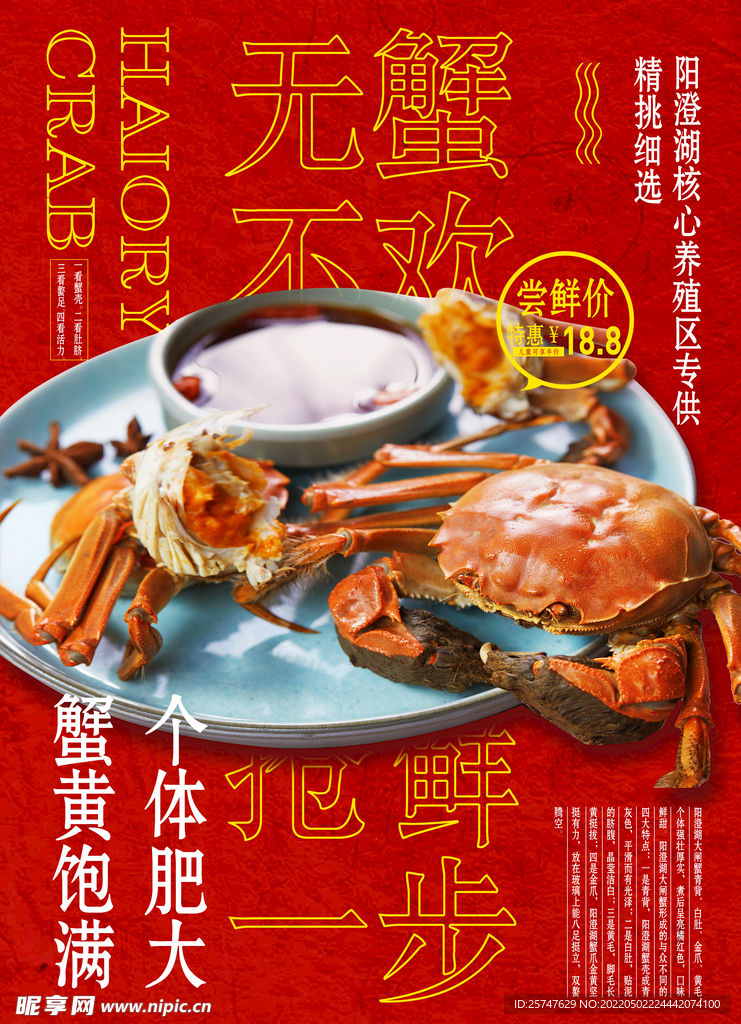 阳澄湖大闸蟹