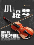 小提琴海报