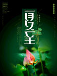夏至