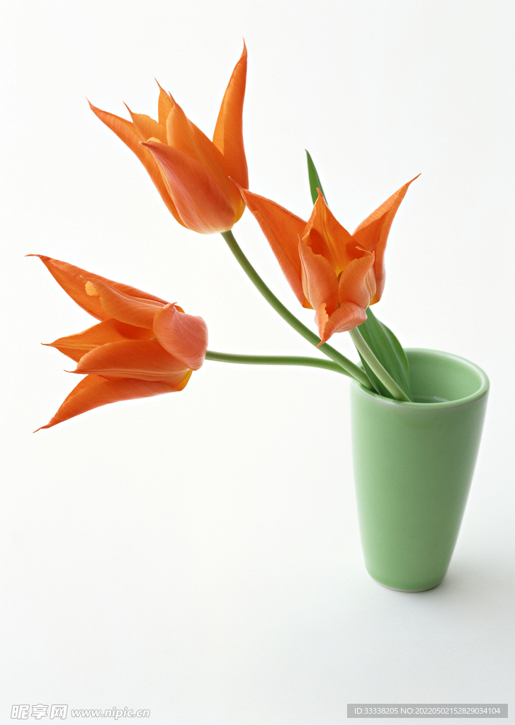 花卉