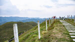 南山牧场