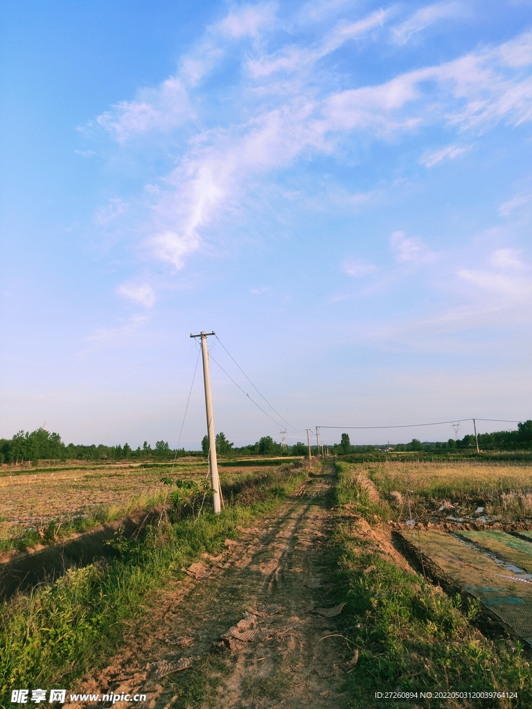 田间小路