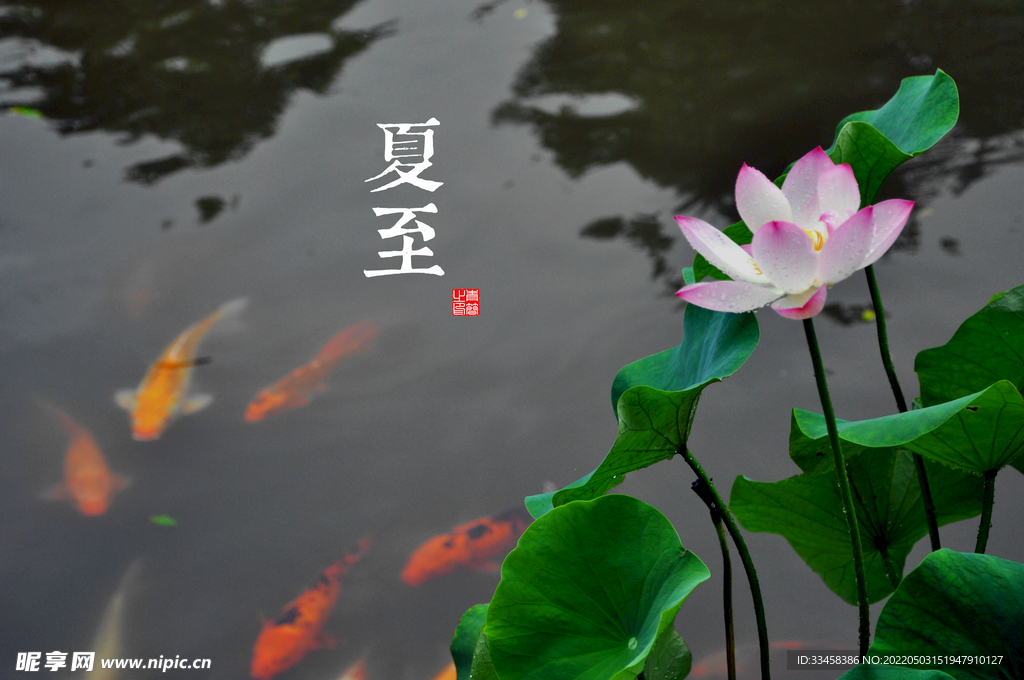 桌面壁纸 