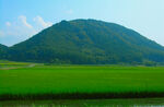 山和草坪