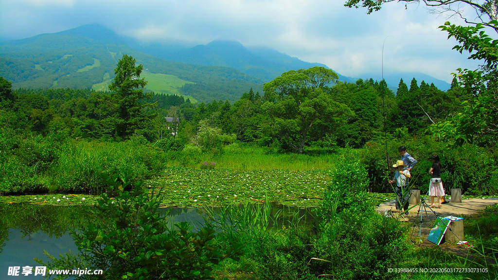 池塘和树林