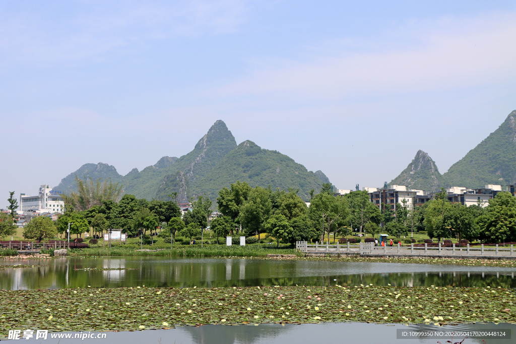 爱莲湖湿地公园风光