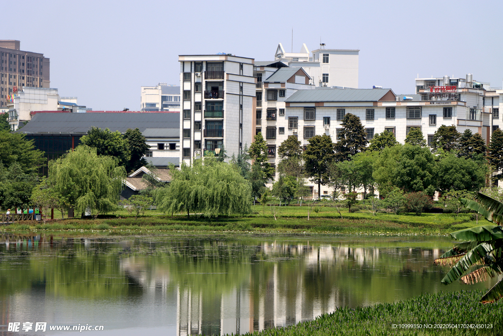 爱莲湖湿地公园风光