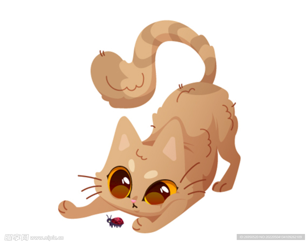 猫