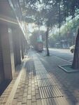 街道 早晨